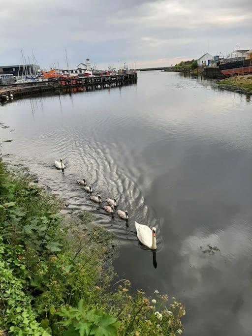 Stunning Riverside Town House With Views Ayrshire 거번 외부 사진